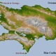 Hispaniola topo