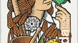 Timeline: Louis Hebert by: Ella