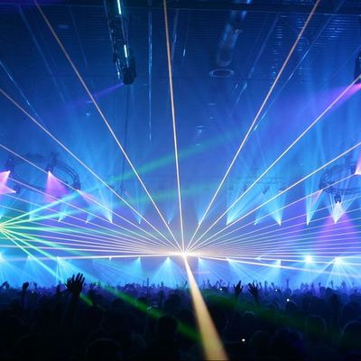 Timeline: Adrienne Mok - Career path