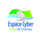 Logo payschar cyber