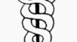 Timeline: NU 200  Nursing History timeline