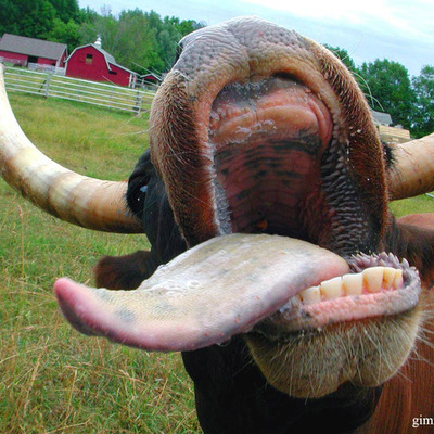 Timeline: FoodBorne Illness Outbreaks