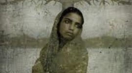 Timeline: Under the Persimmon Tree Timeline