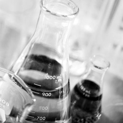 Timeline: A biological timeline