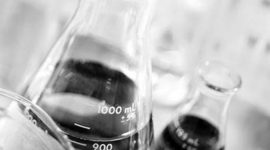 Timeline: A biological timeline