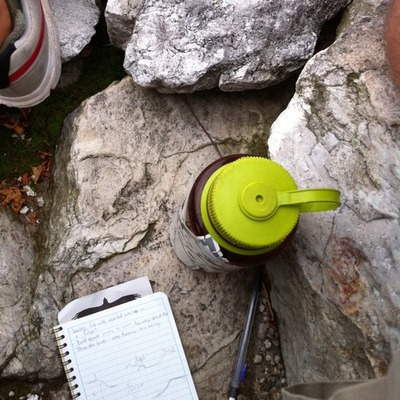 Timeline: Sustainbility Timeline