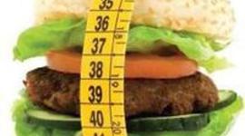 Timeline: Obesity in the World