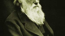 Timeline: linea de tiempo: biografia de Darwin