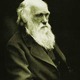 Darwin1