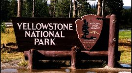 Timeline: Early Environmental Acts