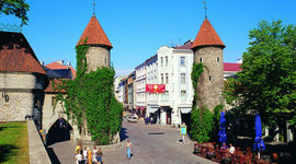 Timeline: vana linas