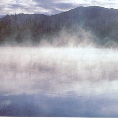 Timeline: Matt Cooke Is Boss