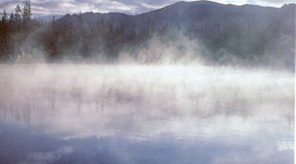 Timeline: Matt Cooke Is Boss