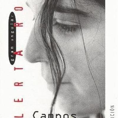 Timeline: campos de fresas