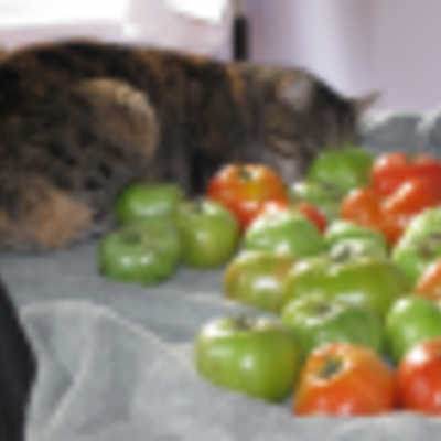 Timeline: Art Images: Final