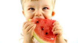 Timeline: Toddler Milestones