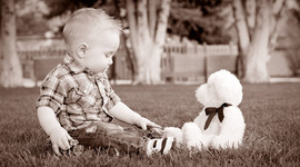 Timeline: TODDLER DEVELOPMENT