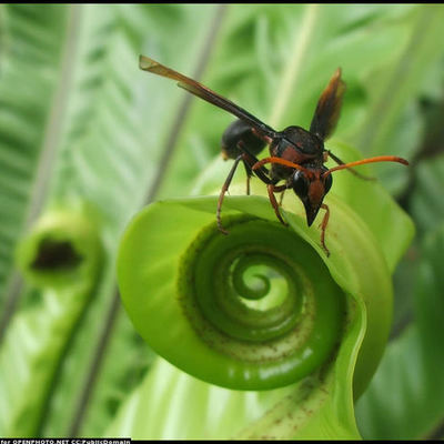 Timeline: A közösségi web története