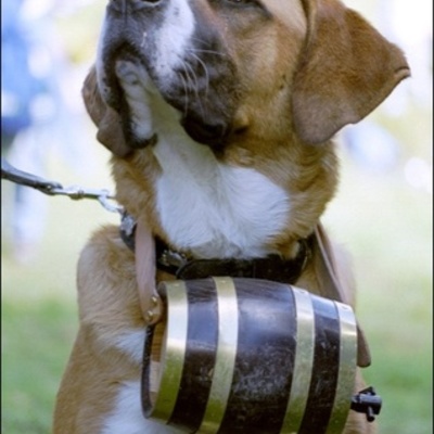 Timeline: A közösségi web története