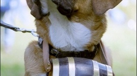 Timeline: A közösségi web története