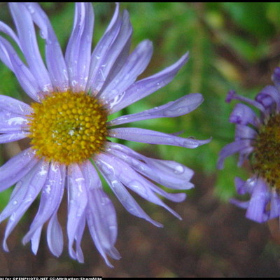 Timeline: A közösségi web története