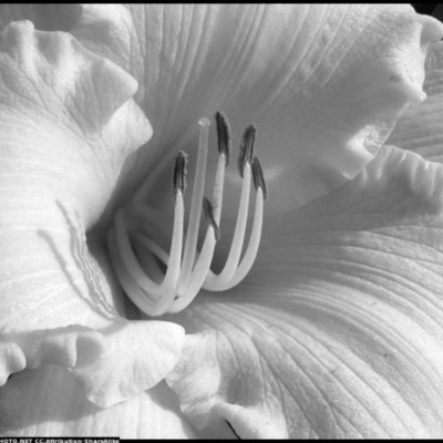 Timeline: Közösségi web története