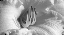 Timeline: Közösségi web története