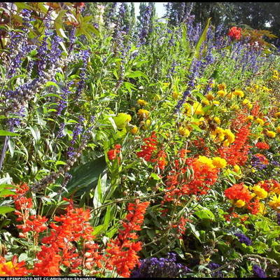 Timeline: A közösségi web története