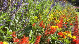 Timeline: A közösségi web története