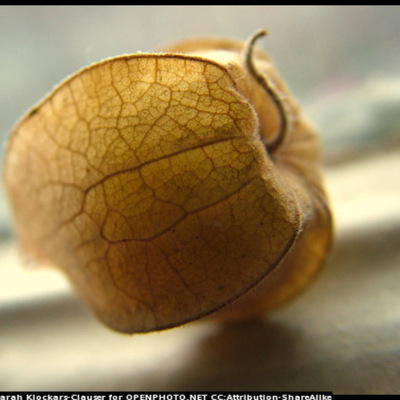 Timeline: A közösségi Web története