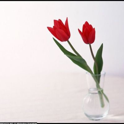 Timeline: A közösségi web története