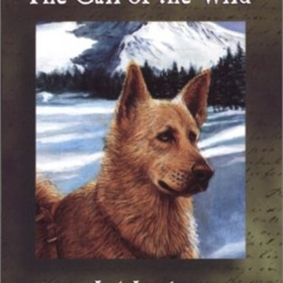 Timeline: The Life of Buck