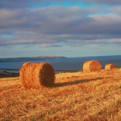 Timeline: Farming Timeline