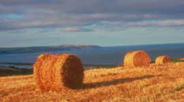 Timeline: Farming Timeline