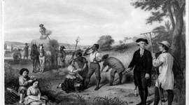 Timeline: How Sugar Shaped the Slave Trade