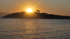 Timeline: Dodia's timeline