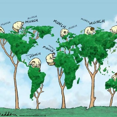 Timeline: retos del siglo xxI