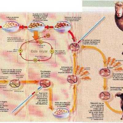 Timeline: retos del siglo XX