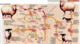 Timeline: retos del siglo XX