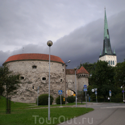 Timeline: Толстая Маргарита