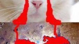 Timeline: Akif's Life