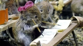 Timeline: IL MIO PRIMO GIORNO DI SCUOLA