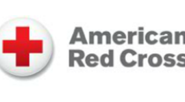 Timeline: Social Engagement in FY12 and FY13