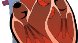 Timeline: Breakthroughs on Surgical Procedures for the Heart