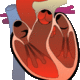 Heart diagram