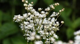 Timeline: Historical Events Costa Rica