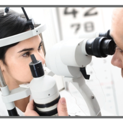 Timeline: History of the Study of Anatomy