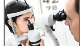 Timeline: History of the Study of Anatomy