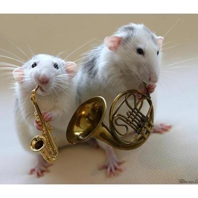 Timeline: musical history!