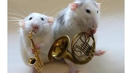 Timeline: musical history!